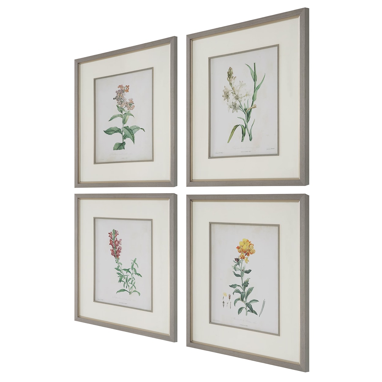 Uttermost Heirloom Blooms Heirloom Blooms Study Framed Prints Set/4
