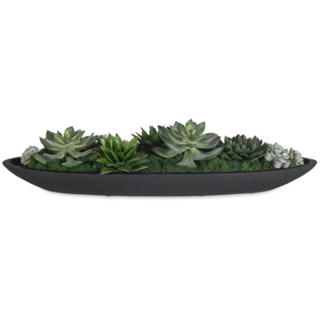 Verde Succulent Centerpiece In Bowl