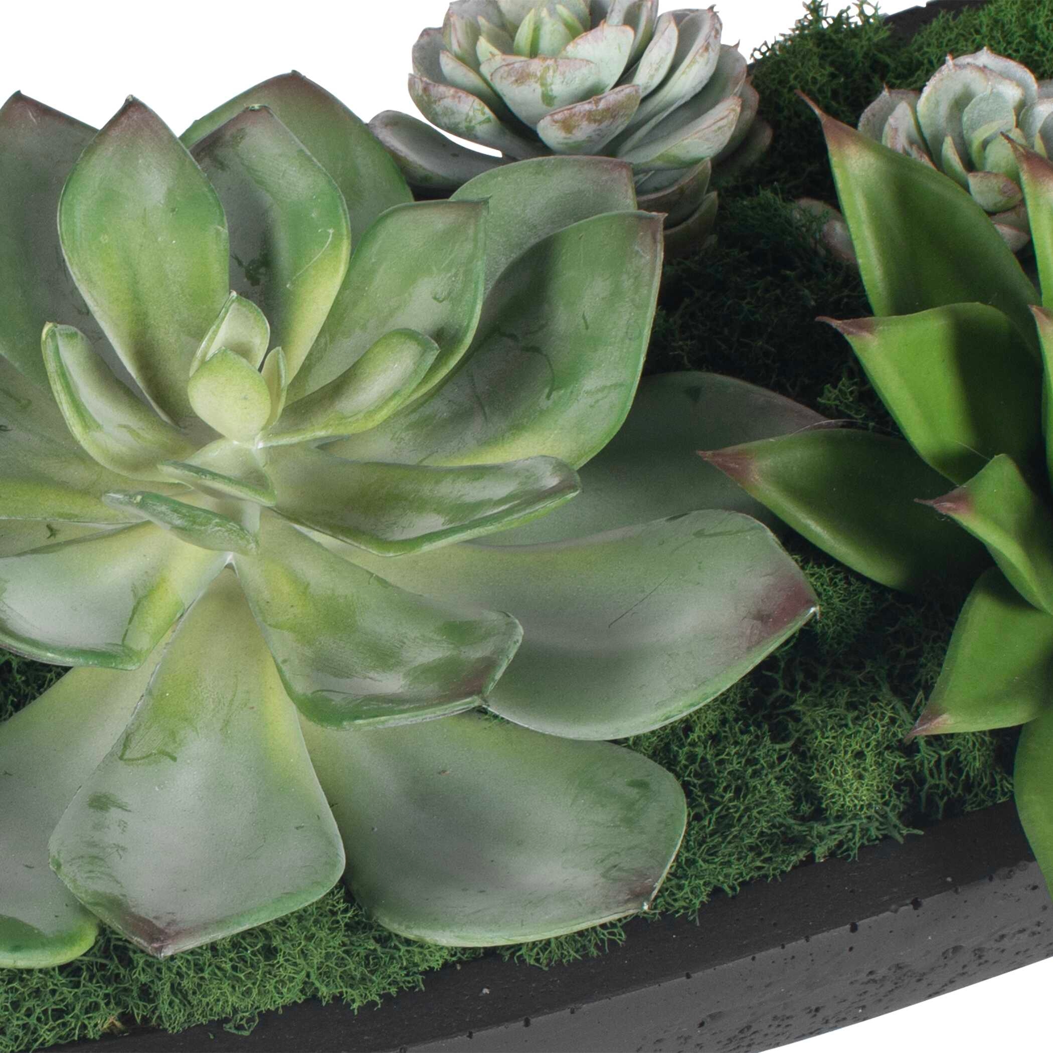 Uttermost Verde Verde Succulent Centerpiece In Bowl