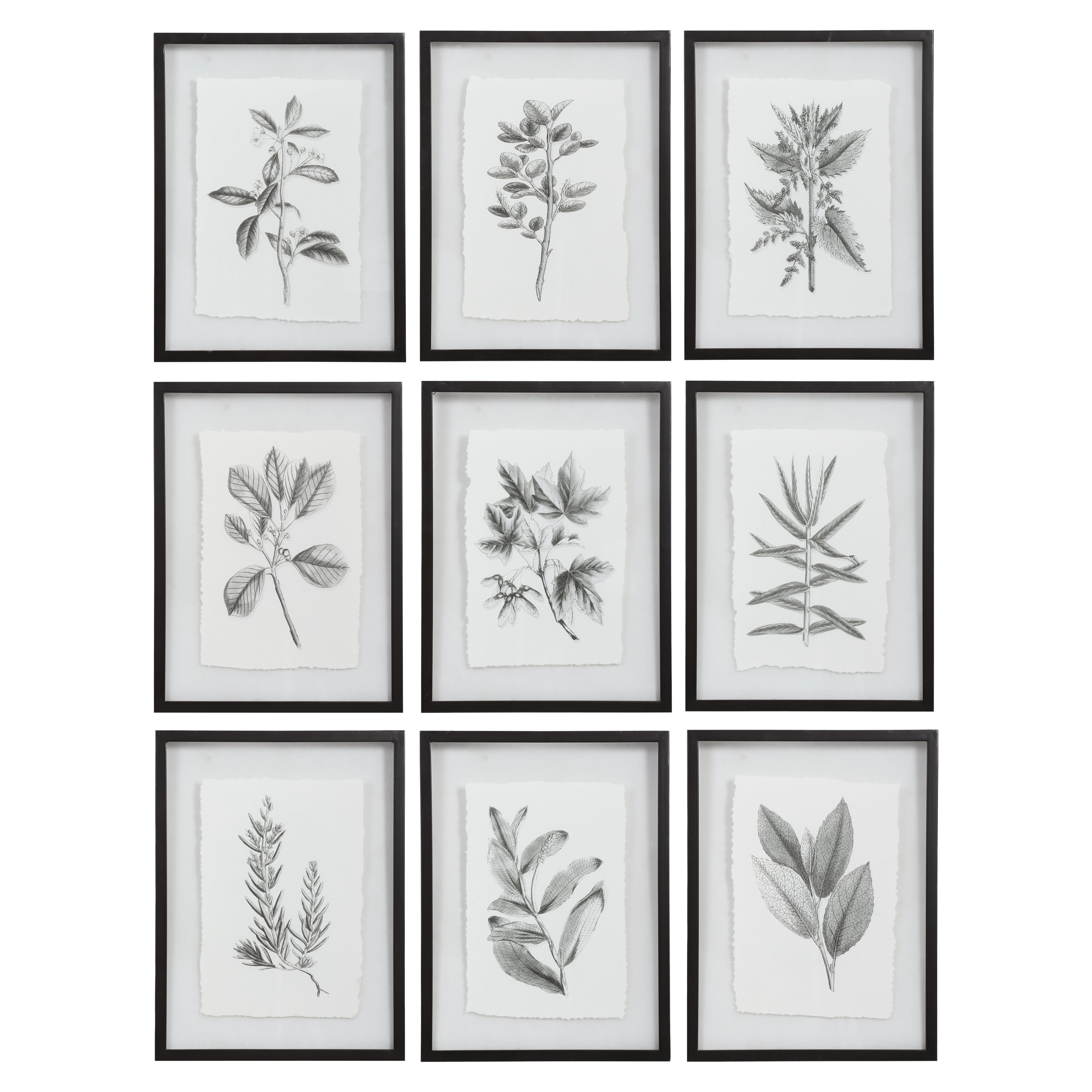 Farmhouse Florals Framed Prints, S/9