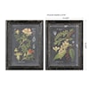 Uttermost Framed Prints Midnight Botanicals Framed Prints, Set of 2