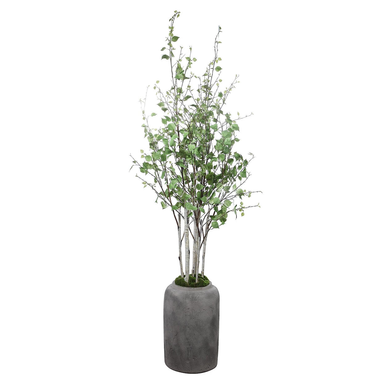 Uttermost Botanicals Aldis Potted River Birch