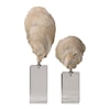Uttermost Accessories - Statues and Figurines Oyster Shell Sculptures, S/2