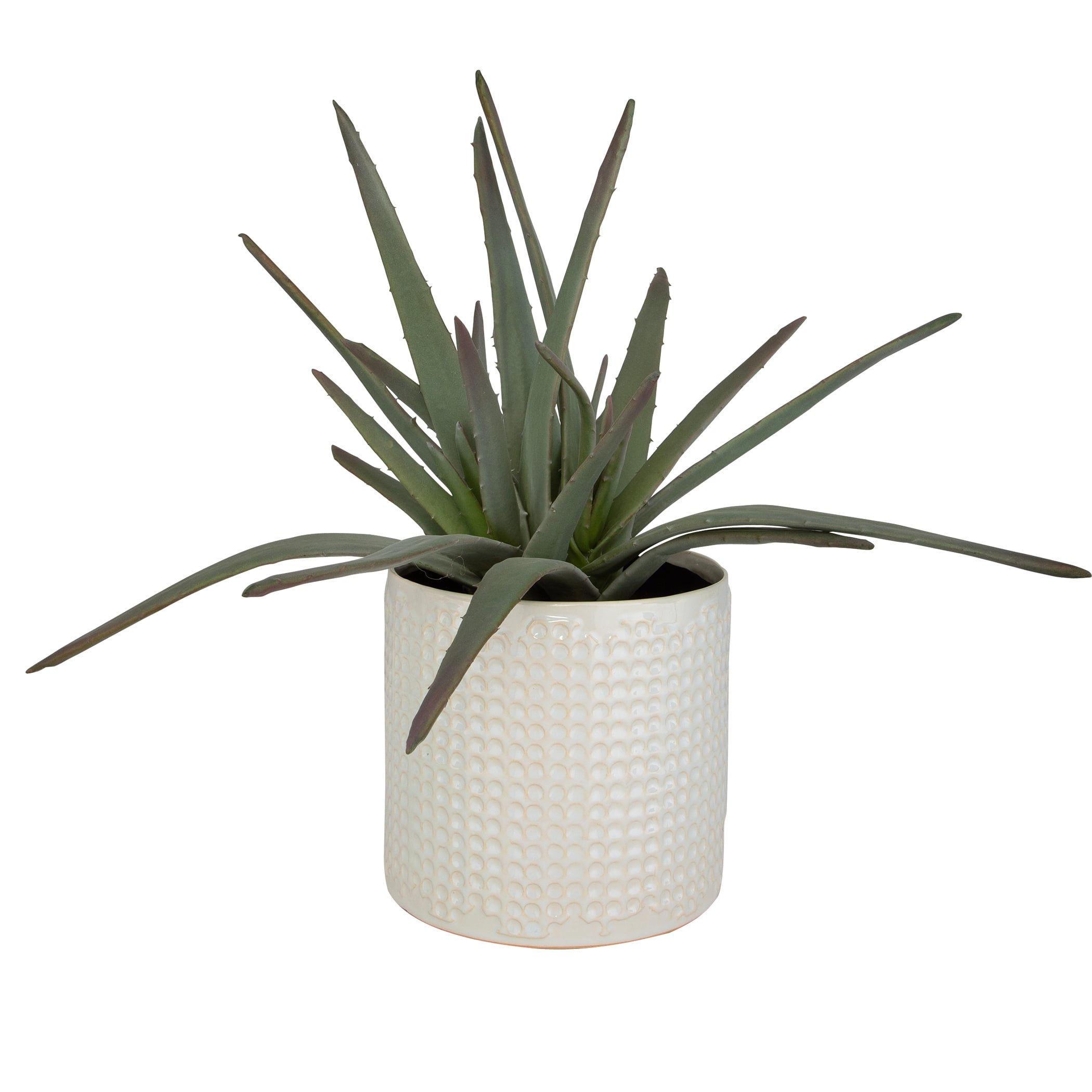 Uttermost Taos Taos Aloe Centerpiece