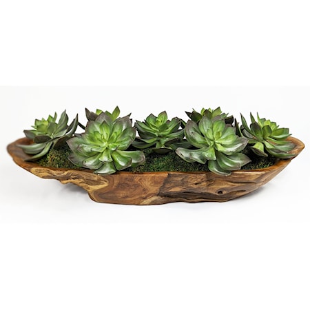 Yuma Succulent Centerpiece