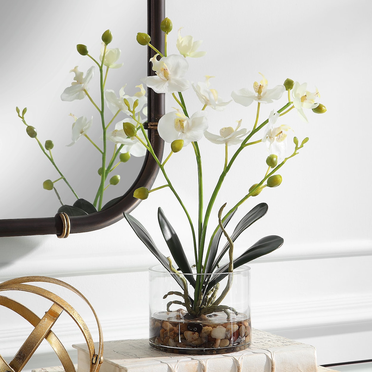 Uttermost Glory Glory Orchid