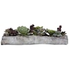 Uttermost Botanicals Charita Lush Succulents