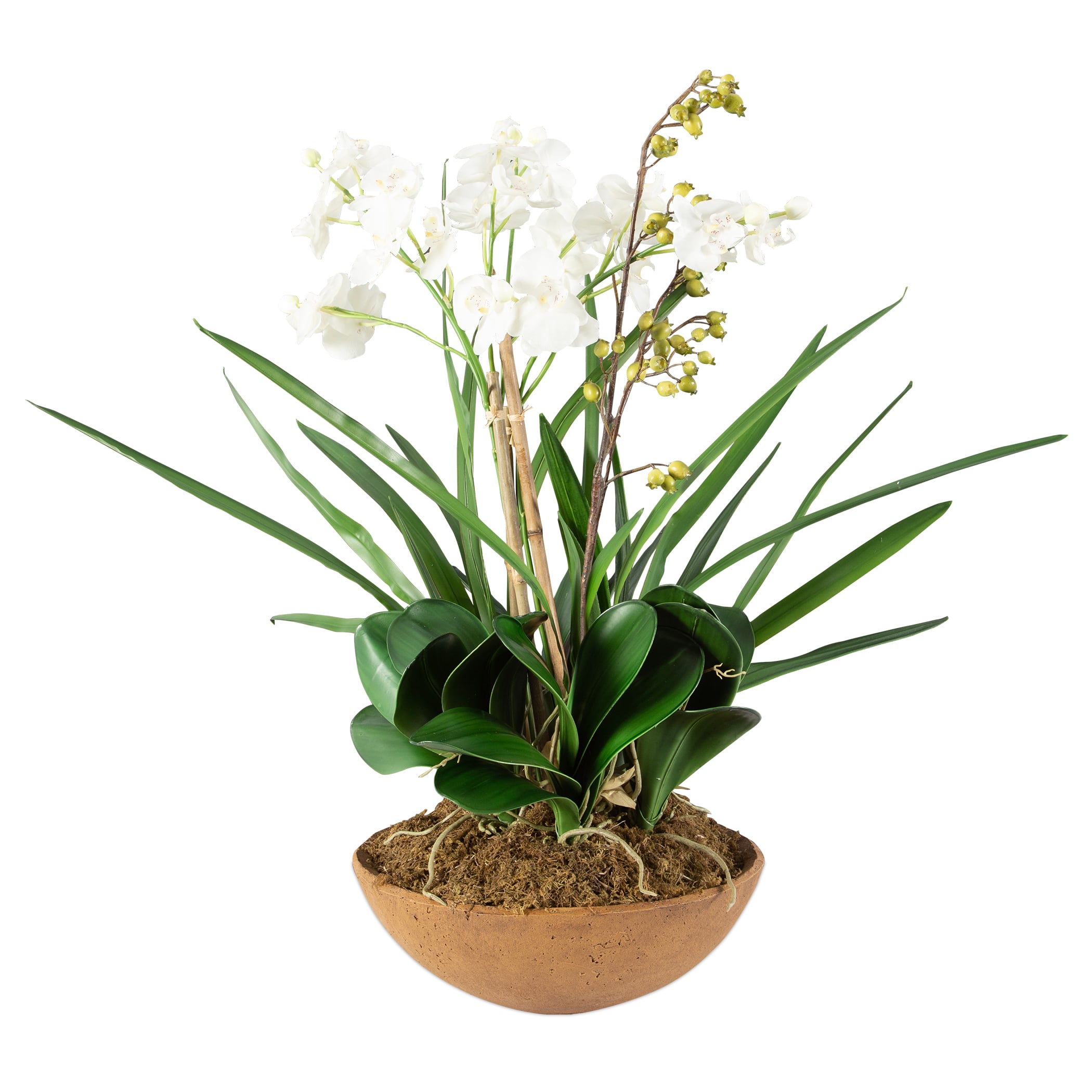 Uttermost Botanicals Moth Orchid Planter