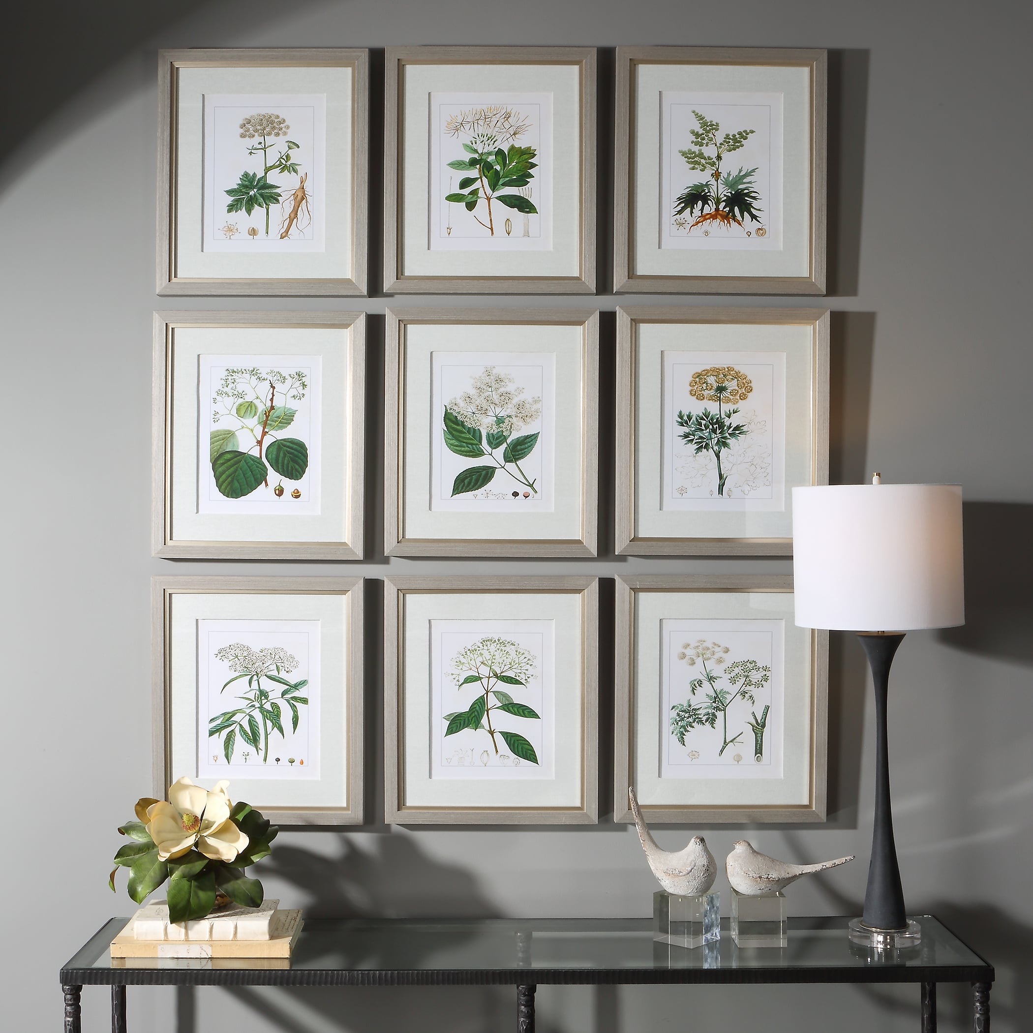 Antique Botanicals Framed Prints, Set of 9