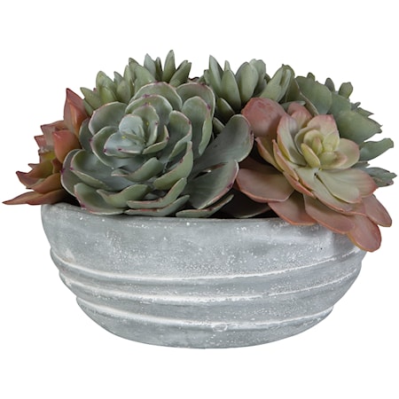 Peoria Succulent Accent