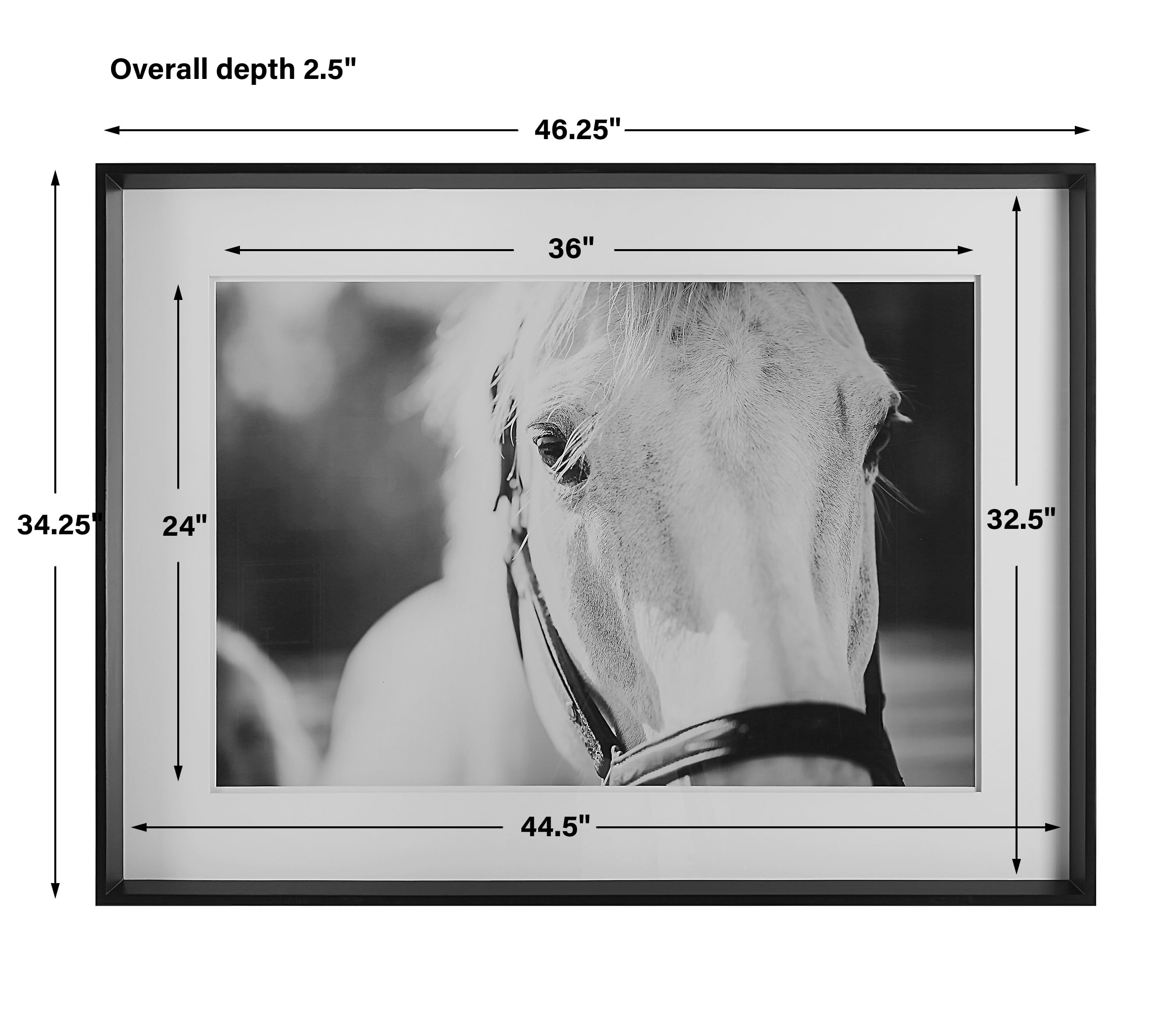 Uttermost Eyes On The Prize Eyes On The Prize Framed Print