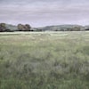 Uttermost Quiet Meadows Quiet Meadows Framed Prints S/4