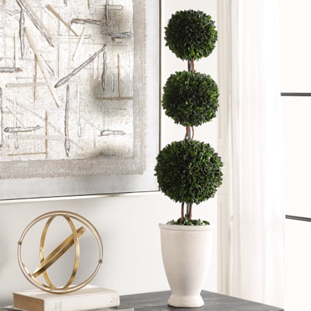 Preserved Boxwood Triple Topiary