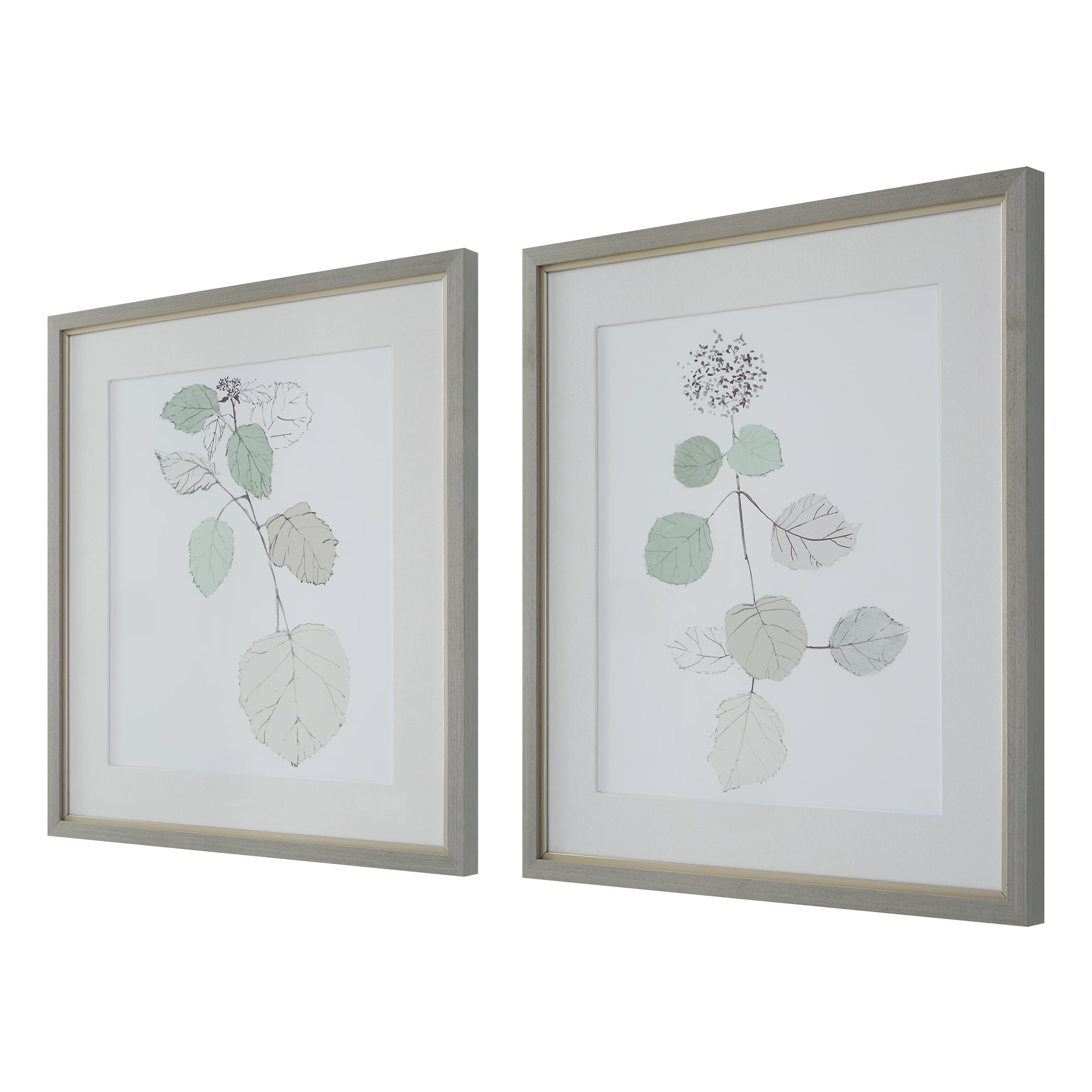 Uttermost Come What May Botanical Framed Prints- Set of 2