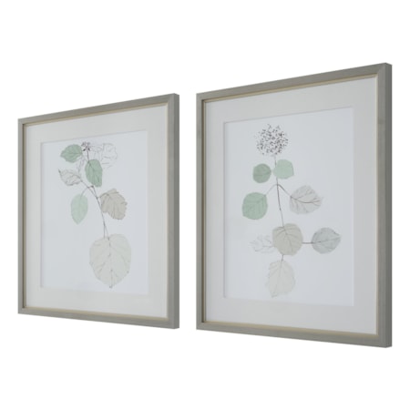 Botanical Framed Prints- Set of 2