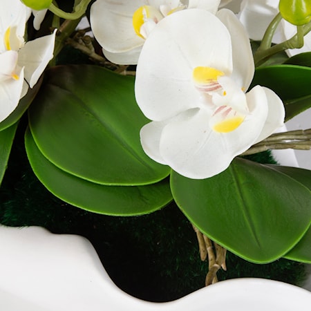 Opulence Orchid Centerpiece With Bowl