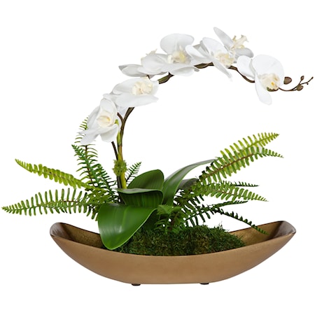 Transcend Orchid Centerpiece