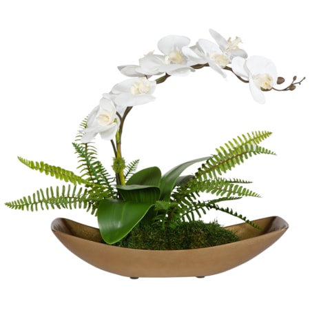 Transcend Orchid Centerpiece