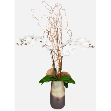 Earthbound Orchid With Vase
