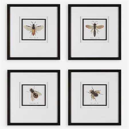 Anthophila Framed Prints, S/4