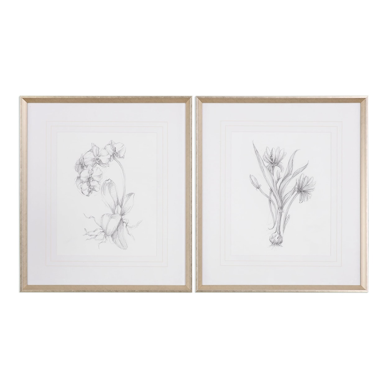 Uttermost Framed Prints Botanical Sketches (Set of 2)