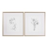 Uttermost Framed Prints Botanical Sketches (Set of 2)