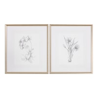 Botanical Sketches (Set of 2)