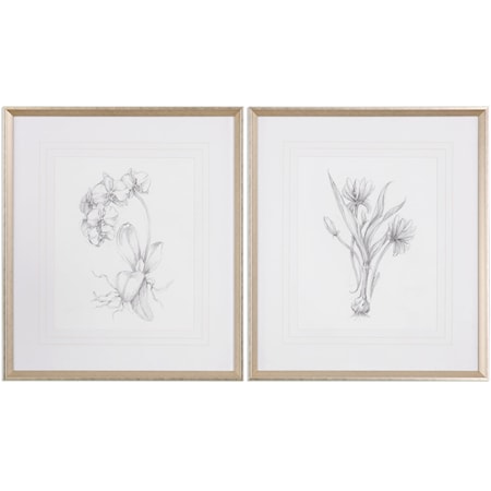 Botanical Sketches (Set of 2)