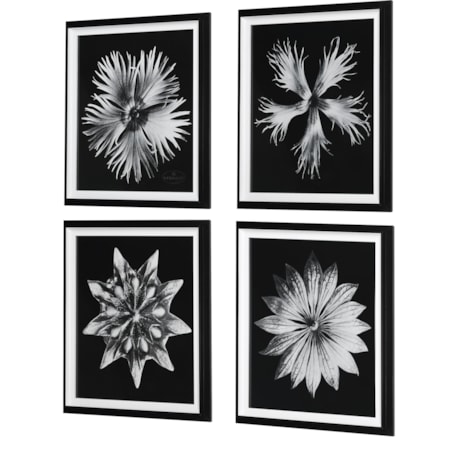 Contemporary Floret Framed Prints S/4