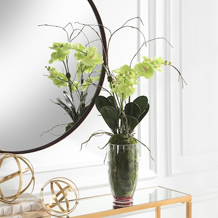 Accent Orchids with Clear Glass Vase