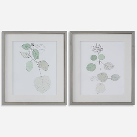 Botanical Framed Prints- Set of 2