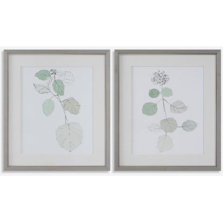 Botanical Framed Prints- Set of 2