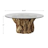 Uttermost Driftwood Glass Top Coffee Table with Teakwood Base
