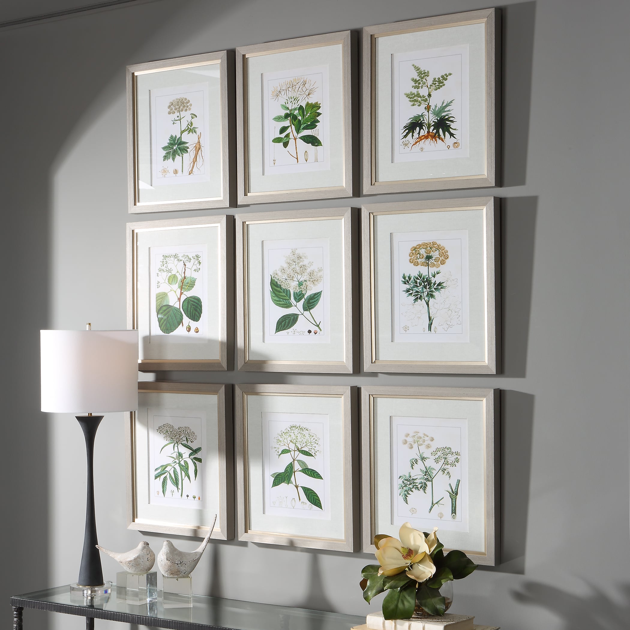 Antique Botanicals Framed Prints, Set of 9