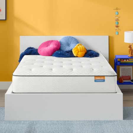 Plush Tight Top Mattress Full