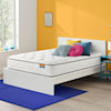 Simmons Holiday 12.75" Plush Queen Mattress