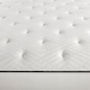 Simmons Alexandria Plush Tight Top Plush Tight Top Mattress Twin