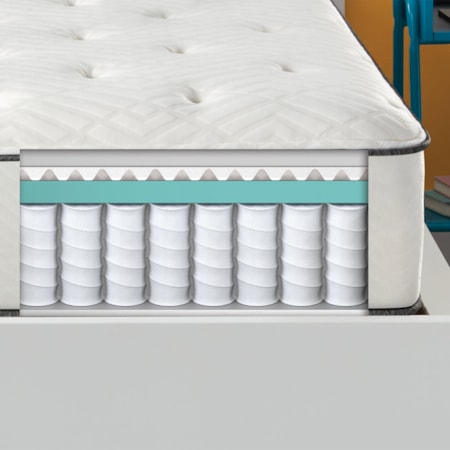 Plush Tight Top Mattress Full