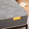 Simmons Deep Sleep Hybrid Plush Hybrid Plush Mattress