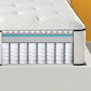 Simmons Americus Firm Tight Top Firm Tight Top Mattress Queen