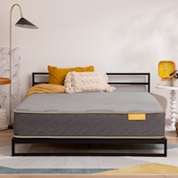 11.5" Hybrid Medium Mattress -Queen