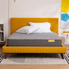 Simmons Deep Sleep Collection Firm Firm Mattress