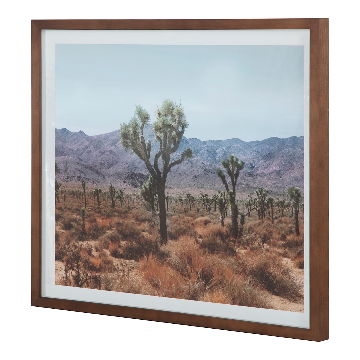 Moe's Home Collection Desert Desert Land Framed Print