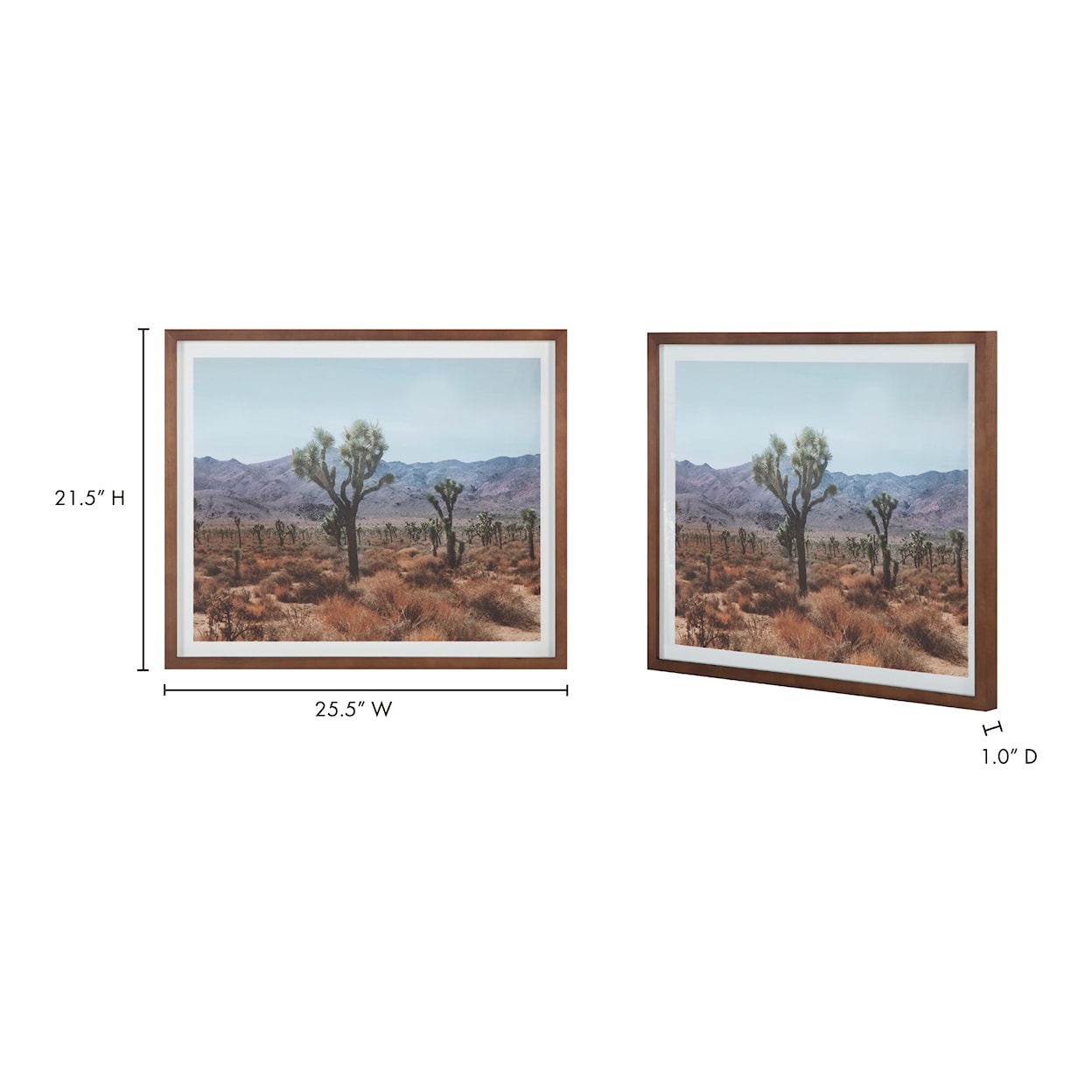 Moe's Home Collection Desert Desert Land Framed Print