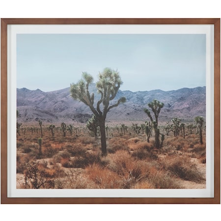 Desert Land Framed Print