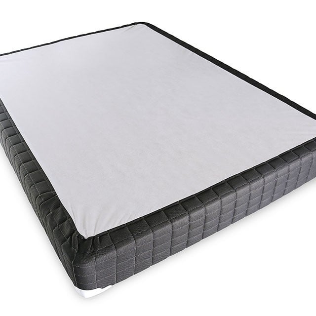 Collection Thumbnail