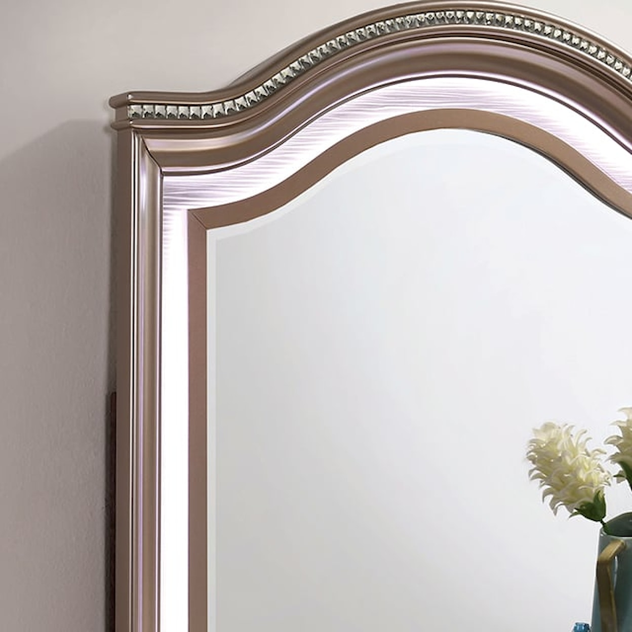 Furniture of America Allie Arched Mirror