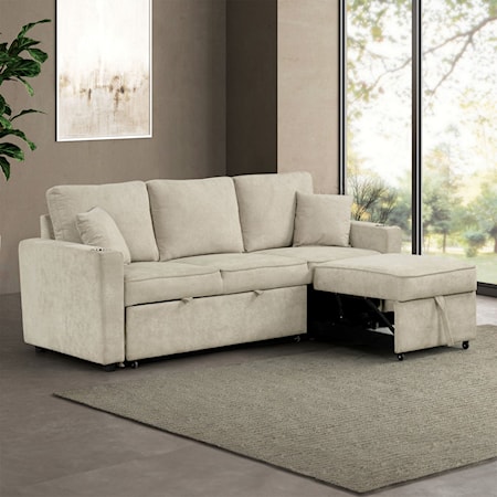 Sleeper Sofa Sectional