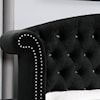 Furniture of America Zohar Queen Bed Black