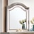 Furniture of America - FOA Allie Contemporary Glam Arched Dresser Mirror with Led Light